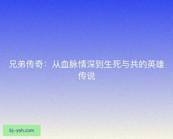 兄弟传奇：从血脉情深到生死与共的英雄传说